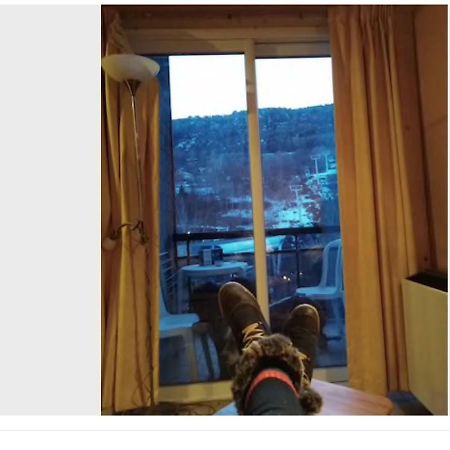 Briançon Pied De Piste Avec Terrasse Et Casier A Ski מראה חיצוני תמונה
